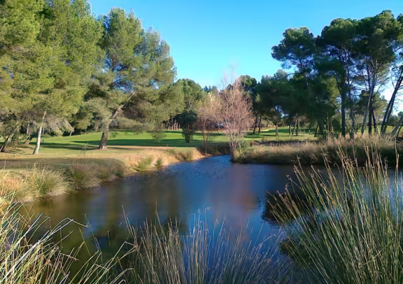 Golf photo 4